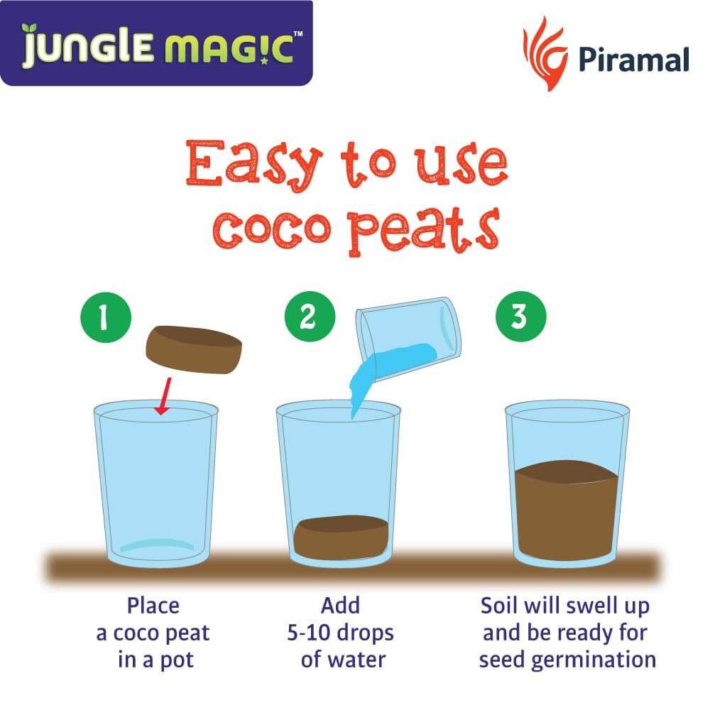 Jungle magic play kits