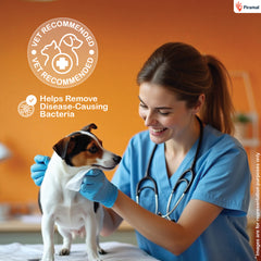 PawKare Pet Wipes for Dogs & Cats | Vet Recommended Grooming Wipes | Alcohol-Free Wet Wipes for Cats & Dogs | Pets Dry Bathing, Paw Cleaning | Aloe Vera, Jojoba Oil, Vitamin E