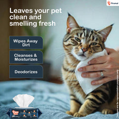 PawKare Pet Wipes for Dogs & Cats | Vet Recommended Grooming Wipes | Alcohol-Free Wet Wipes for Cats & Dogs | Pets Dry Bathing, Paw Cleaning | Aloe Vera, Jojoba Oil, Vitamin E