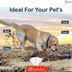 PawKare Pet Wipes for Dogs & Cats | Vet Recommended Grooming Wipes | Alcohol-Free Wet Wipes for Cats & Dogs | Pets Dry Bathing, Paw Cleaning | Aloe Vera, Jojoba Oil, Vitamin E