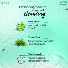 Lacto calamine product