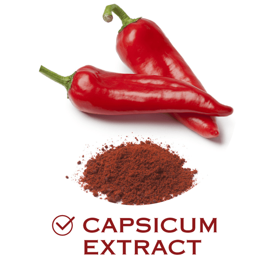 Capsicum extract