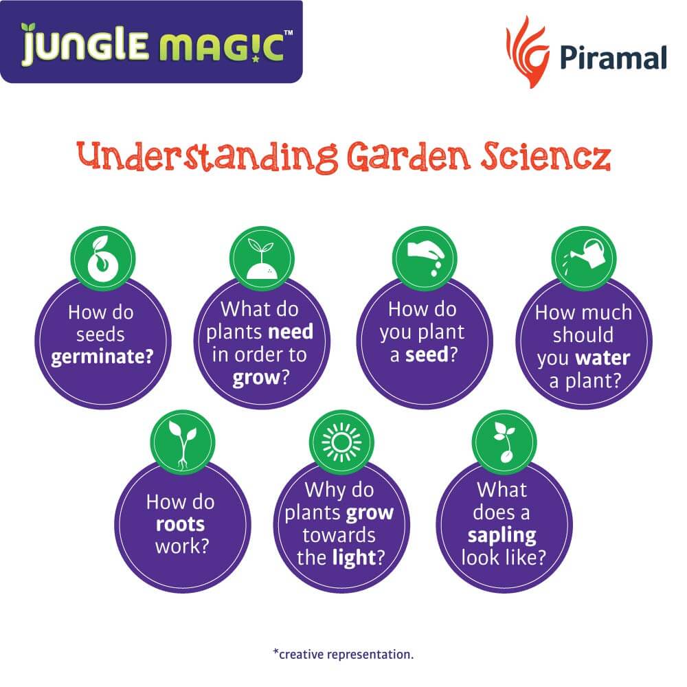 Jungle Magic Understanding Garden Sciencz