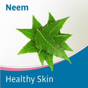 neem healthy skin